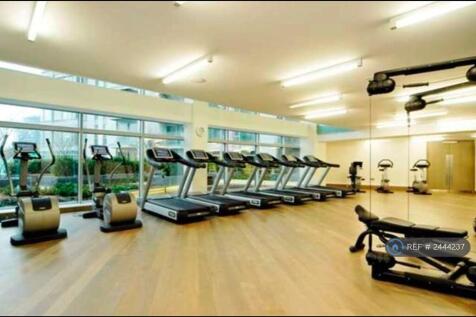 Gymnasium