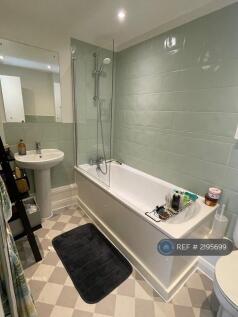 Shower Tub