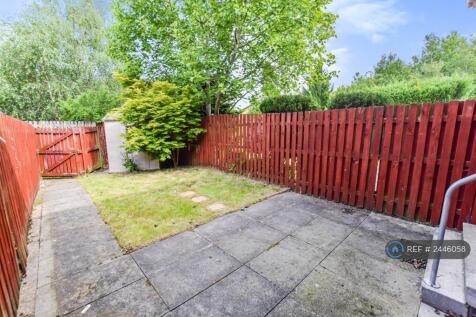 Back Garden