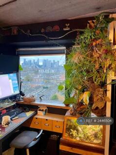Standing Desk With Great Views