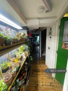Lots Of Shelves In Hallway. Used Here For Plants.