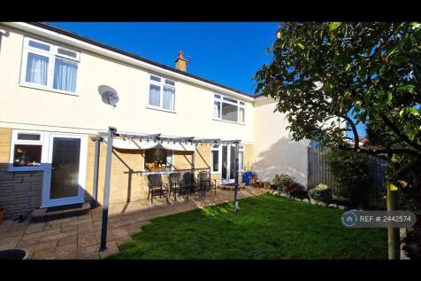 Back Garden