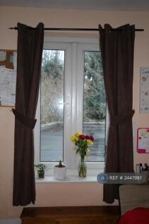 Patio Doors