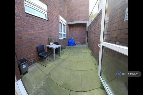 Back Garden