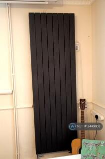 Designer Radiators