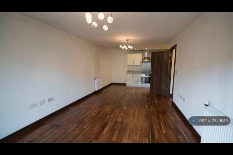 Large Lounge, Dining Area With Kitchen Area