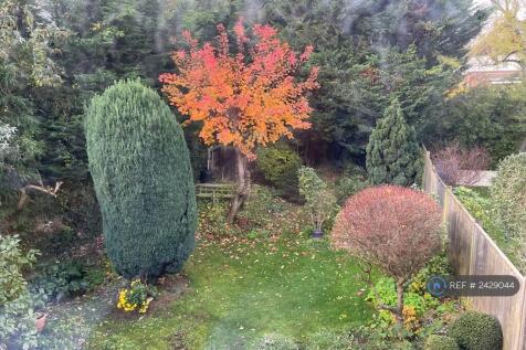 View From The Bedroom