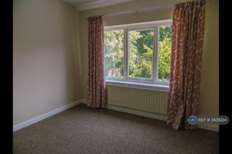 Back Bedroom Window