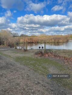 Wanstead Flats, 5 Mins From House
