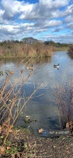 Wanstead Flats, 5 Mins From House