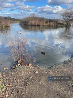 Wanstead Flats, 5 Mins From House