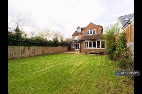 Back Garden