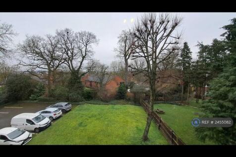View To Rear Garden