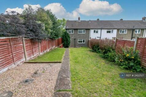 Back Garden