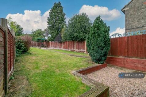 Back Garden