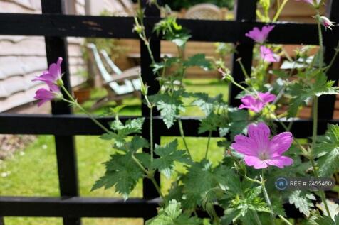 Private Garden 
