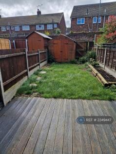Back Garden