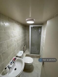 Basement Bathroom 