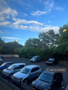 Back Car Park