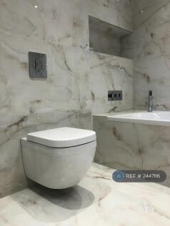 Master Bathroom4