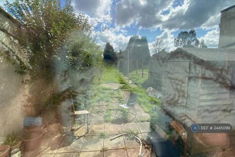 Back Garden