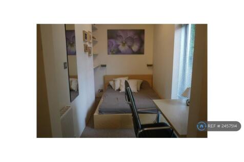 Downstairs Bedroom 