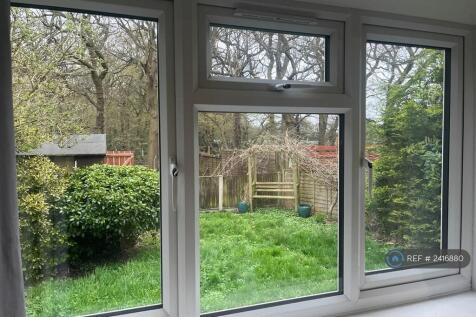 Second Bedroom Window