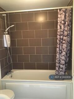 Family Bathroom Tub