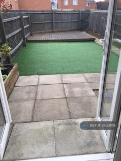 Back Garden