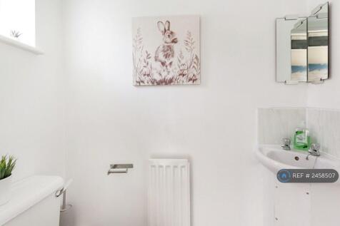 Downstairs Toilet / Washroom