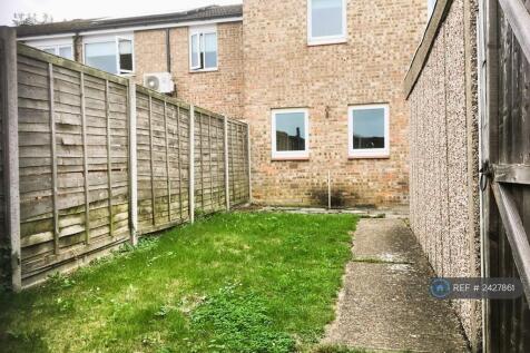 Back Garden