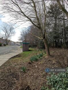 Small Park Just Outside The Building