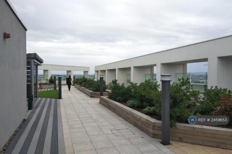 Communal Rooftop Garden