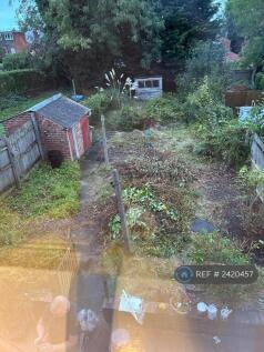 Large Garden 