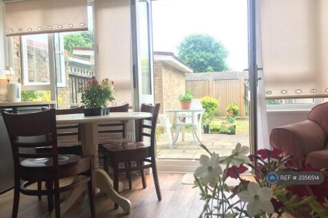Rear Patio Garden