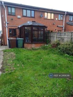 Back Garden