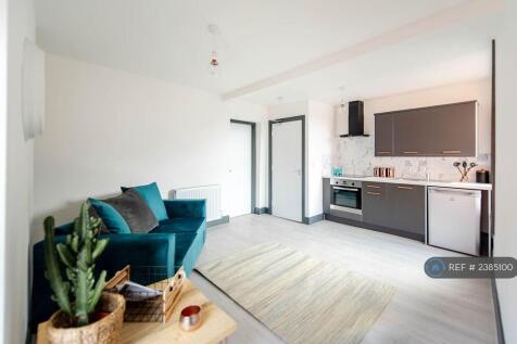 Living/Kitchen Area