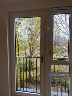 View From Living Window