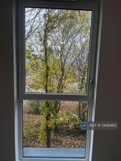 View From Bedroom Window