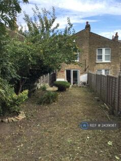 Back Garden