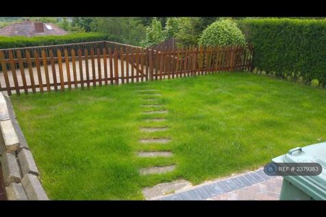 Back Garden