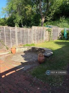 Back Garden