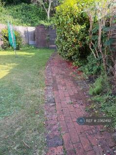 Back Garden
