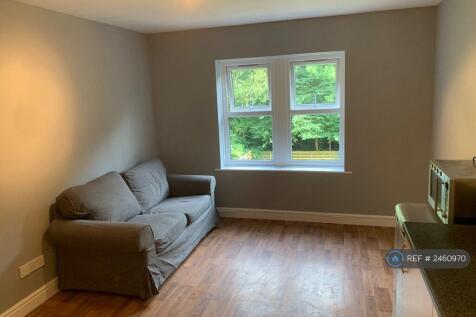 Living Room / Kitchen 