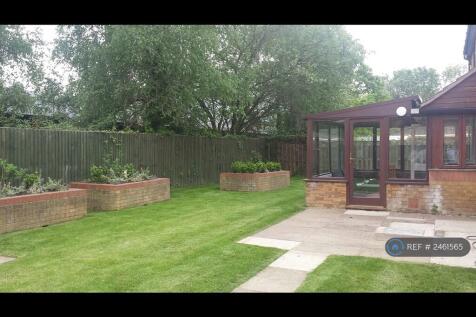Communal Garden 