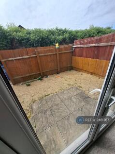 Back Garden