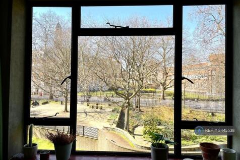 View From Living Room