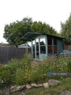Back Garden