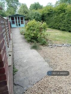 Back Garden