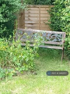 Back Garden